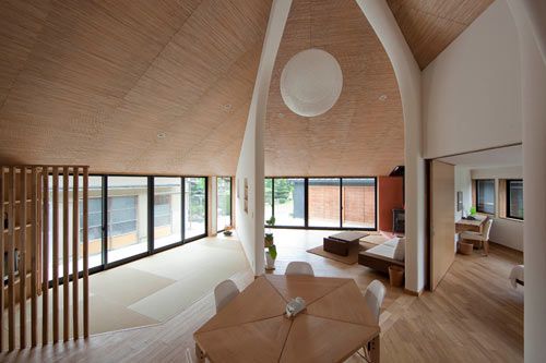 wpid-10578_PentagonalHouse.jpg