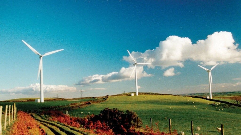 wpid-17006_r.jpg
