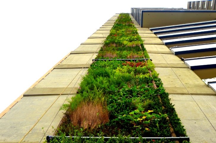 wpid-22347_greenmedellin.jpg