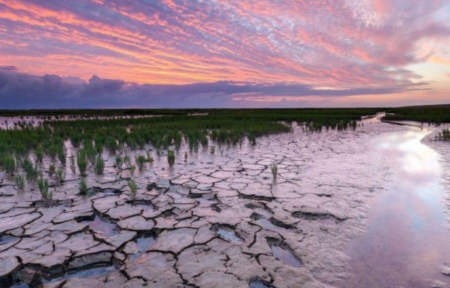 wpid-24020_sunriseonthefloodedfieldsxx.jpg