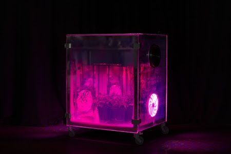 wpid-244_.jpg