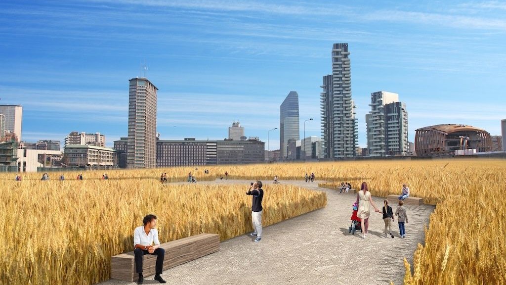 wpid-26212_WHEATFIELDS.jpg