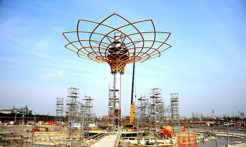 wpid-26293_padiglioneitaliaalbero.jpg