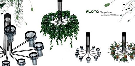 wpid-2913_flora.jpg