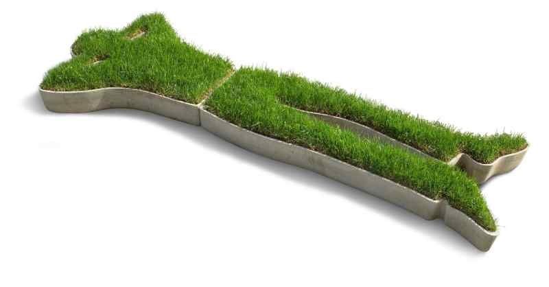 wpid-3061_naturaldesign.jpg