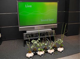 wpid-4215_home.jpg