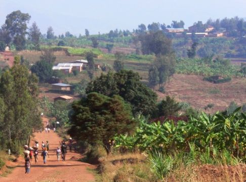 wpid-4249_Bumbogo.jpg