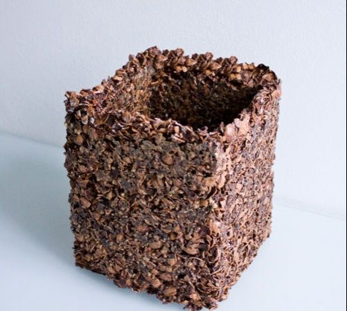 wpid-4404_walnut.jpg