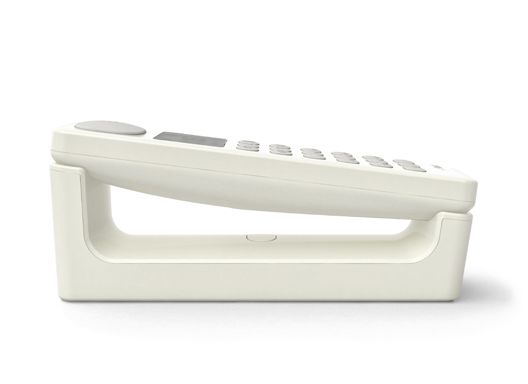 wpid-4422_electricpunktphone.jpg