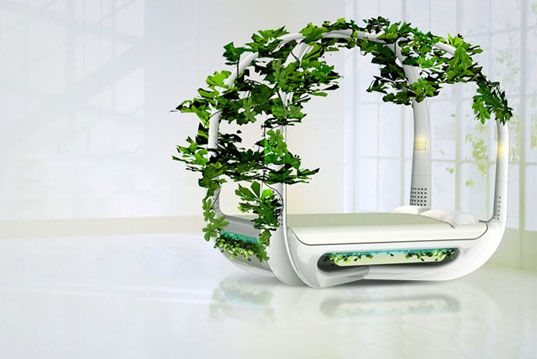wpid-4442_.jpg