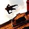 wpid-falling.jpg