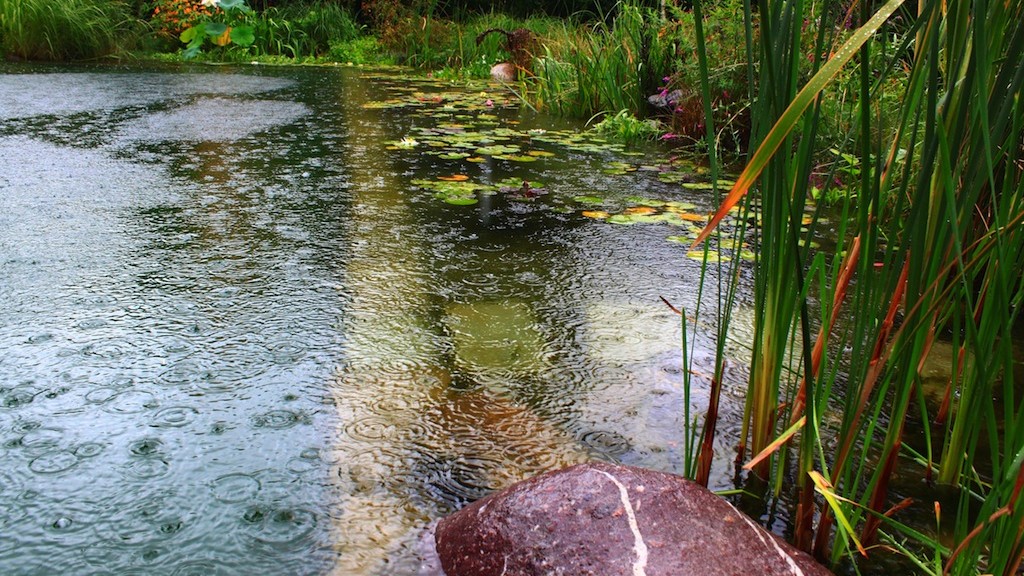biopiscina_cover