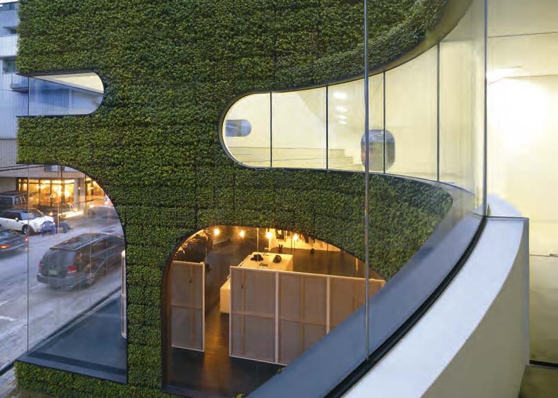 Vista dall’interno del primo piano, della connessione tra facciata vegetata e chiusure trasparenti