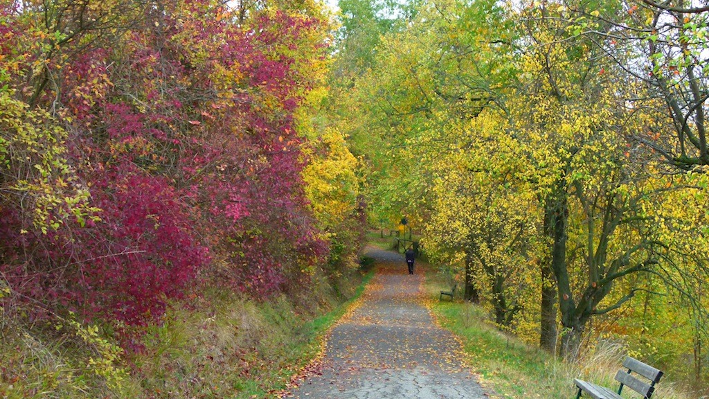 Parco Talon (o della Chiusa) a Casalecchio di Reno (Bologna)