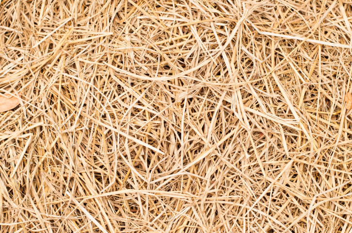 ThinkstockPhotos-487419605