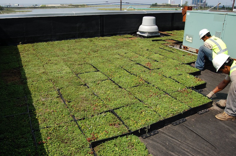 coperture_verde