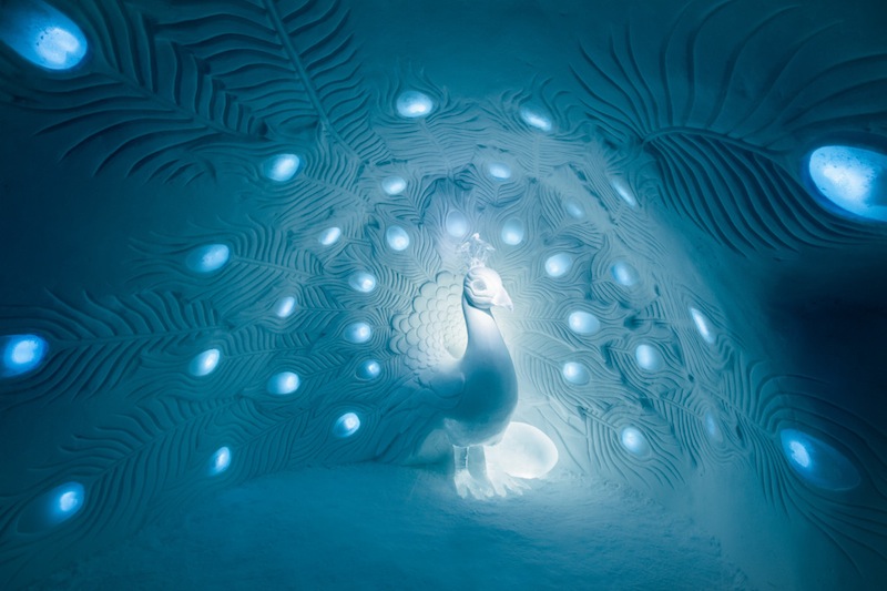 Show Me What You Got:Tjåsa Gusfors, David Andrén