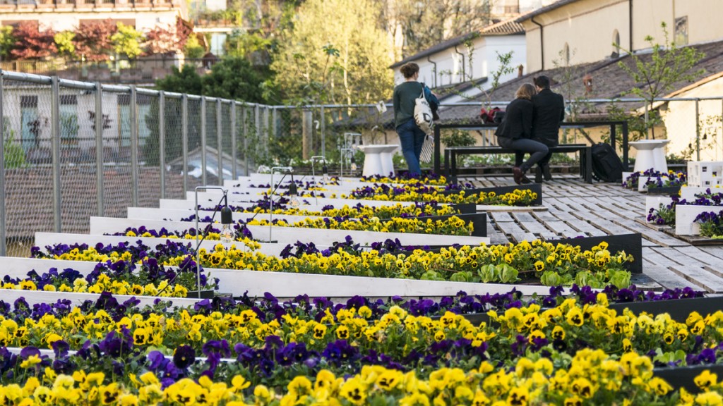L'orto cinetico realizzato da Piuarch nel Brera Design District del Fuorisalone 2016 (foto: Zeropxl)