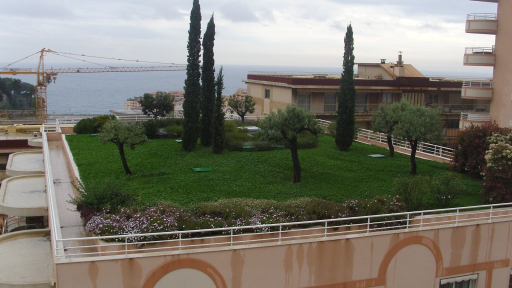 Giardino pensile con alberature con apparato radicale contenuto e ridotte necessità idriche (Foto Marcella Minelli)