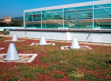 Copertura a verde pensile estensivo (Foto Antonio Spena)