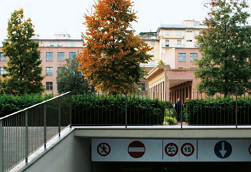 Copertura a verde pensile intensivo (Foto Daniela Veronesi)