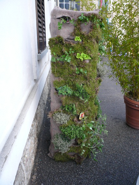Orti_facciata_103-4