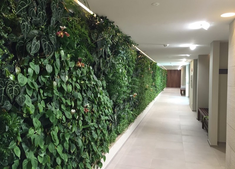 Un giardino verticale da 27 metri per la spa di un hotel ... Giardino in verticale