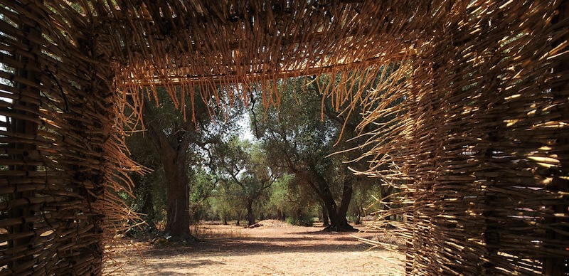 Esperimento di Land Art – Nidificare i Paduli (2014)