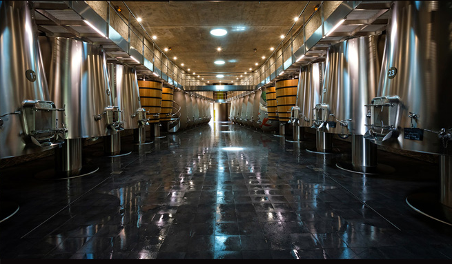 fermentazione 0_Copy Philippe Labeguerie