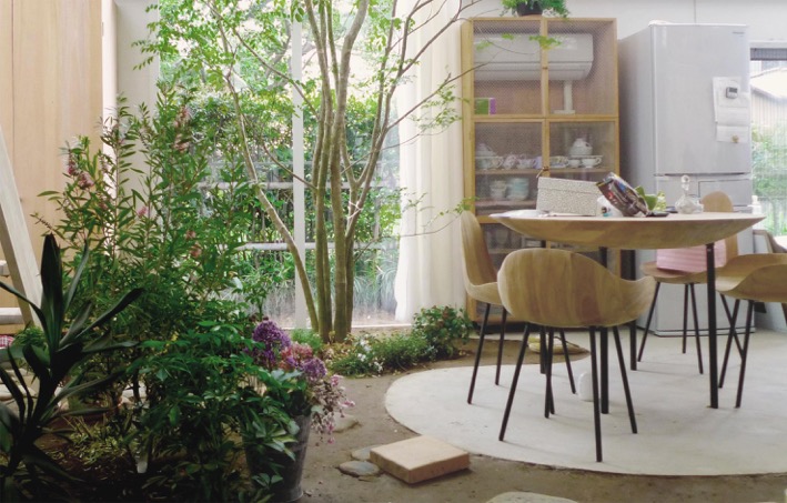 house_with_plants_image_1