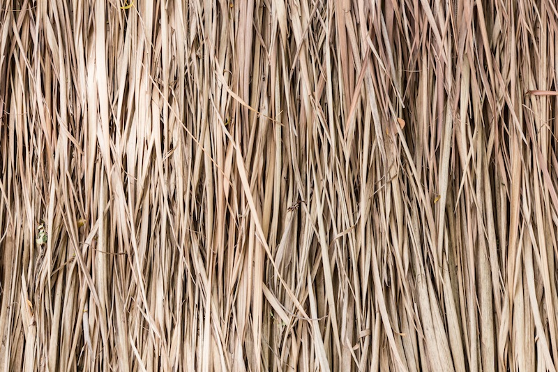 Thatch roof background, hay or dry grass background.