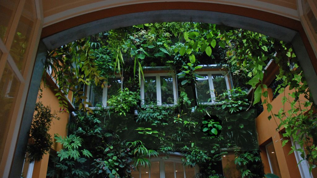 Casa di Patrick Blanc, l'agronomo celebre al mondo per i suoi “muri verticali” (foto © Patrick Blanc)