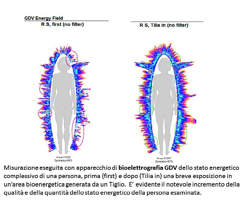 Fig2016_10-3