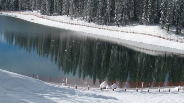 Quale dottore cura limpotenza di uomini