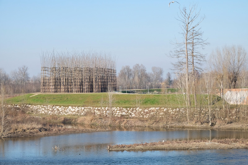 La Cattedrale Vegetale di Lodi sorge in un contesto naturale incontaminato lungo la riva sinistra del fiume Adda © 2017 Archivio Giuliano Mauri