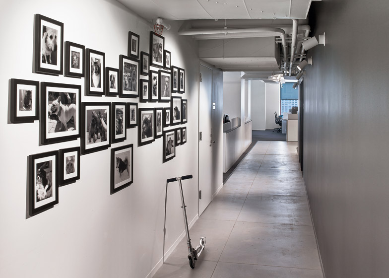 LinkedIn New York, le fotografie degli animali domestici dei dipendenti © Eric Laignel