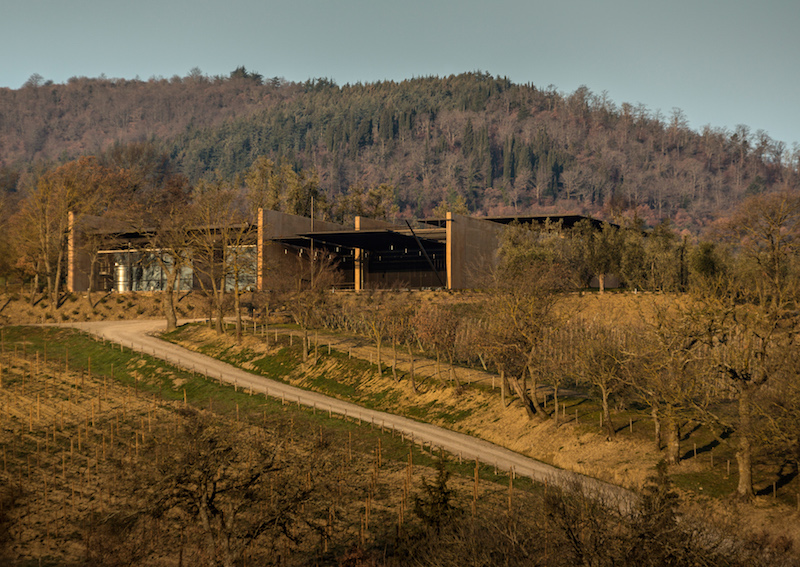 Cantina Podernuovo Una sequenza di quattro setti paralleli di cemento color dell’argilla fendono il terreno secondo una giacitura che segue la massima pendenza della collina. Il territorio continua nell’architettura. Un principio di purezza funzionale attraversa tutti gli spazi della cantina, concepita come estensione del lavoro contadino e della cultura del territorio che entrano vigorosamente, attraverso i setti, nel cuore dell’architettura. L’edificio definisce i suoi ambienti in funzione delle strette esigenze di produzione e trova la propria origine nel paesaggio circostante. Nell’edificio tutto è in vista. La cantina è attraversata da un asse principale che, configurandosi come un cannocchiale visivo, corre tra i due setti centrali per tutta la lunghezza dell’edificio e si apre sui vigneti. L’interno appare come una “sezione aperta” che, grazie alle ampie pareti vetrate, permette di traguardare, da qualunque punto del percorso, tutti gli ambienti della produzione del vino avendo sempre come sfondo il paesaggio toscano.
