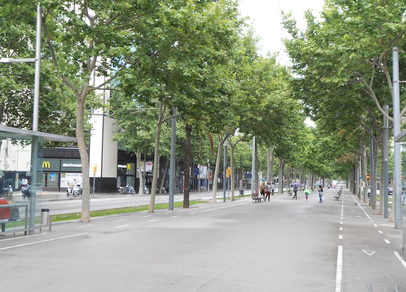 Tree planting nel quartiere @22 di Barcellona, Credits: M. B. Andreucci